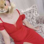 ヒメ日記 2026/01/08 11:48 投稿 うた VIVIDCREWマダムセカンドバージン 梅田店