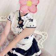 ヒメ日記 2026/02/20 16:07 投稿 うた VIVIDCREWマダムセカンドバージン 梅田店