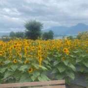 ヒメ日記 2025/10/28 10:19 投稿 ふわな G-SCANDAL