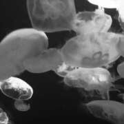 ヒメ日記 2025/11/25 18:08 投稿 しほ 宇都宮ムンムン熟女妻