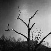 ヒメ日記 2025/12/03 17:41 投稿 しほ 宇都宮ムンムン熟女妻