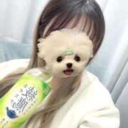 ヒメ日記 2026/02/13 17:16 投稿 のの 君とふわふわプリンセスin西川口