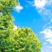 ヒメ日記 2025/10/28 07:36 投稿 すい モアグループ宇都宮人妻花壇