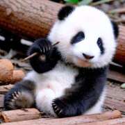 ヒメ日記 2025/10/29 15:59 投稿 すい モアグループ宇都宮人妻花壇