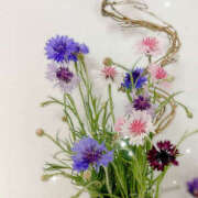 ヒメ日記 2025/10/24 14:30 投稿 あゆむ 奥鉄オクテツ神奈川店（デリヘル市場グループ）