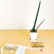 あゆむ ありがとうございました∀ 奥鉄オクテツ神奈川店（デリヘル市場グループ）