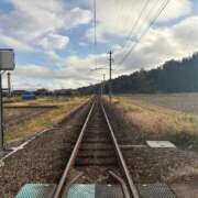 ヒメ日記 2025/11/20 19:42 投稿 ほのか 鶯谷デリヘル倶楽部