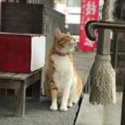 ヒメ日記 2025/12/09 13:22 投稿 ほのか 鶯谷デリヘル倶楽部