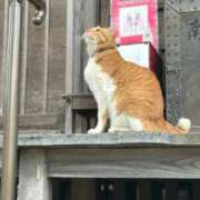 ヒメ日記 2026/01/11 21:22 投稿 ほのか 鶯谷デリヘル倶楽部