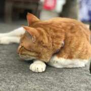 ヒメ日記 2026/02/14 13:43 投稿 ほのか 鶯谷デリヘル倶楽部