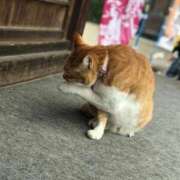 ヒメ日記 2026/02/22 17:13 投稿 ほのか 鶯谷デリヘル倶楽部