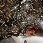 ヒメ日記 2026/01/21 23:28 投稿 りりか Sexy Club 月TOKYO