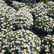 ヒメ日記 2026/02/22 01:19 投稿 りりか Sexy Club 月TOKYO