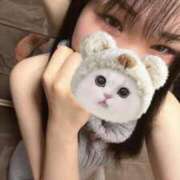 ヒメ日記 2025/12/08 09:10 投稿 セイラ Wonder7 (ワンダー7)