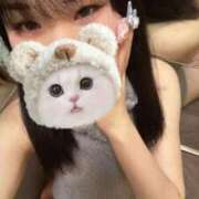 ヒメ日記 2025/12/08 11:42 投稿 セイラ Wonder7 (ワンダー7)