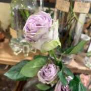 ヒメ日記 2026/03/10 22:38 投稿 繭(まゆ) PLUS十三店