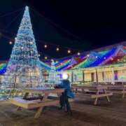 ヒメ日記 2025/12/16 13:59 投稿 りさ エスッテ×エスッテ