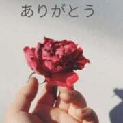 ヒメ日記 2026/03/08 15:05 投稿 かんな 奥鉄オクテツ大阪