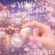 ヒメ日記 2026/03/11 09:49 投稿 かんな 奥鉄オクテツ大阪