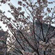 ヒメ日記 2026/04/02 08:21 投稿 かんな 奥鉄オクテツ大阪