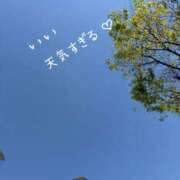 ヒメ日記 2026/04/08 14:37 投稿 かんな 奥鉄オクテツ大阪