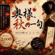 ヒメ日記 2026/09/08 08:13 投稿 かんな 奥鉄オクテツ大阪