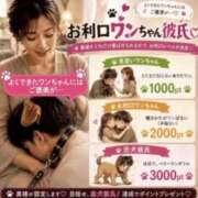 ヒメ日記 2026/09/24 21:43 投稿 かんな 奥鉄オクテツ大阪