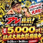 ヒメ日記 2026/09/30 08:16 投稿 かんな 奥鉄オクテツ大阪