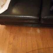 ヒメ日記 2025/11/23 18:26 投稿 ちなみ One More 奥様　西船橋店