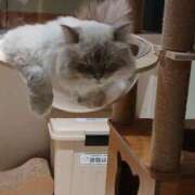 ヒメ日記 2025/12/03 00:17 投稿 ちなみ One More 奥様　西船橋店