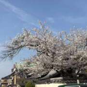 ちな ちな（スピード京橋店） スピード京橋店