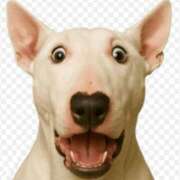 ヒメ日記 2026/03/30 21:45 投稿 麻生みゆ アラフォーna奥様 アラフィフna奥様（埼玉ハレ系）