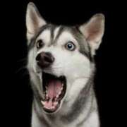 ヒメ日記 2026/04/06 23:57 投稿 麻生みゆ アラフォーna奥様 アラフィフna奥様（埼玉ハレ系）