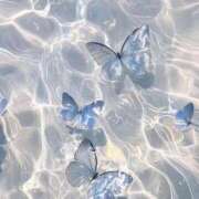 ヒメ日記 2025/12/14 21:33 投稿 リーサ ピンクコレクション大阪