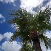 ヒメ日記 2026/01/12 15:51 投稿 リーサ ピンクコレクション大阪