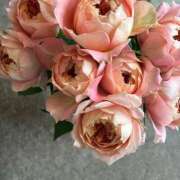 ヒメ日記 2026/04/12 10:41 投稿 リーサ ピンクコレクション大阪