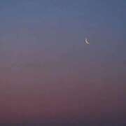 リーサ ご予約完売🌙* :ﾟ ピンクコレクション大阪キタ店