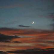 ヒメ日記 2025/12/17 02:09 投稿 リーサ ピンクコレクション大阪キタ店