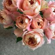 ヒメ日記 2025/12/19 12:49 投稿 リーサ ピンクコレクション大阪キタ店