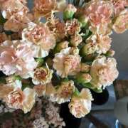 ヒメ日記 2026/02/02 02:29 投稿 リーサ ピンクコレクション大阪キタ店