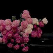 ヒメ日記 2026/03/25 18:19 投稿 リーサ ピンクコレクション大阪キタ店