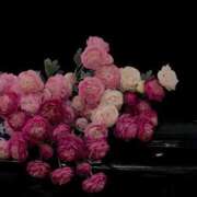 リーサ ご予約完売🌙* :ﾟ ピンクコレクション大阪キタ店