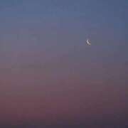 リーサ ご予約完売🌙* :ﾟ ピンクコレクション大阪キタ店