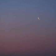 ヒメ日記 2025/11/17 04:22 投稿 リーサ ピンクコレクション尼崎店