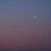 リーサ ご予約完売🌙* :ﾟ ピンクコレクション尼崎店