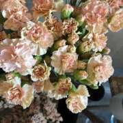 ヒメ日記 2025/12/12 01:52 投稿 リーサ ピンクコレクション尼崎店