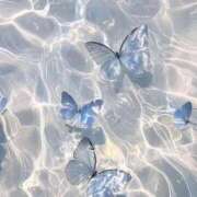 ヒメ日記 2025/12/14 21:23 投稿 リーサ ピンクコレクション尼崎店