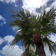 ヒメ日記 2026/01/12 15:52 投稿 リーサ ピンクコレクション尼崎店