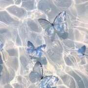 ヒメ日記 2026/01/26 00:52 投稿 リーサ ピンクコレクション尼崎店