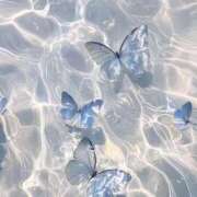 ヒメ日記 2026/02/10 21:32 投稿 リーサ ピンクコレクション尼崎店